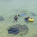 陵水黎族自治县旅游 缩略图 6