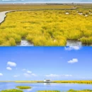 甘南旅游 缩略图 9