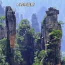 张家界旅游 缩略图 9