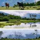 成都旅游 缩略图 1