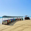 陵水黎族自治县旅游 缩略图 9