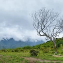 成都旅游 缩略图 8