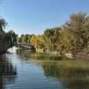 上海旅游 缩略图 16