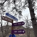 黄山旅游 缩略图 8