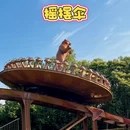 上海旅游 缩略图 1