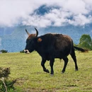 成都旅游 缩略图 3