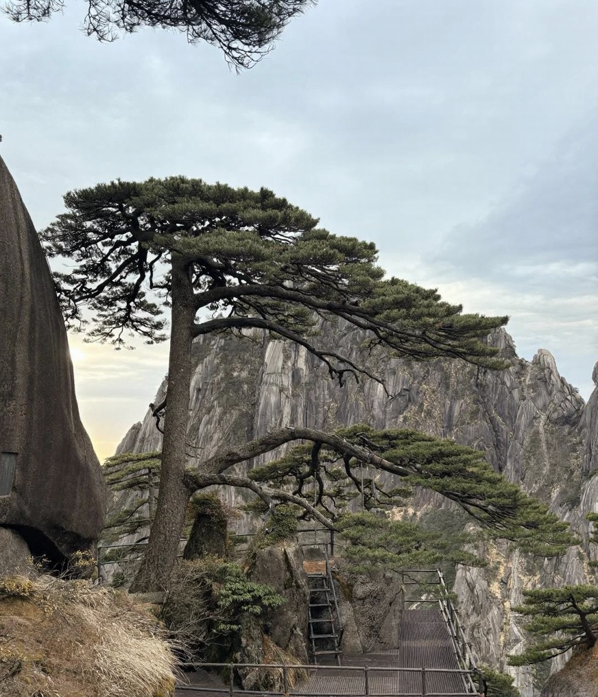 黄山旅游