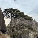 黄山旅游 缩略图 1
