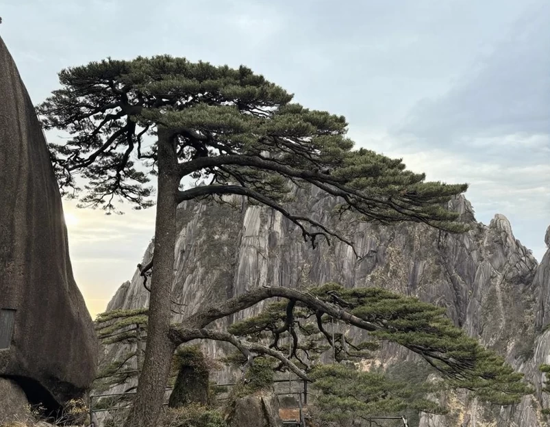 黄山旅游 1