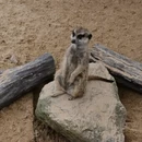 湖州旅游 缩略图 7