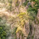 湖州旅游 缩略图 7