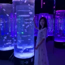 成都旅游 缩略图 4