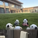 沧州旅游 缩略图 3