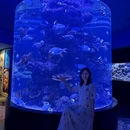 成都旅游 缩略图 2