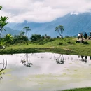 成都旅游 缩略图 4