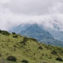 成都旅游 缩略图 7