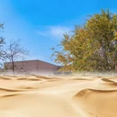 银川旅游 缩略图 8