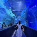 成都旅游 缩略图 3