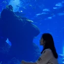 成都旅游 缩略图 8