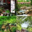 雅安旅游 缩略图 4