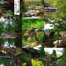 雅安旅游 缩略图 2