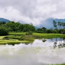 成都旅游 缩略图 6