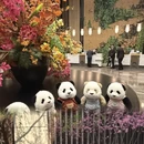 沧州旅游 缩略图 7