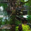 雅安旅游 缩略图 5