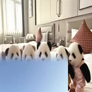 沧州旅游 缩略图 6