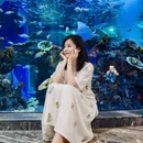 成都旅游 缩略图 9