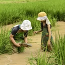贵阳旅游 缩略图 5