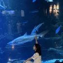成都旅游 缩略图 7