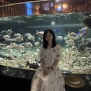 成都旅游 缩略图 6
