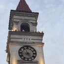 湖州旅游 缩略图 11