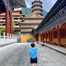 杭州旅游 缩略图 5