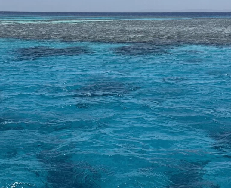 沙姆沙伊赫旅游 1