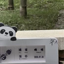 成都旅游 缩略图 8
