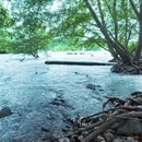 湖州旅游 缩略图 2