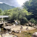 杭州旅游 缩略图 11