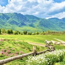 成都旅游 缩略图 7