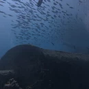 沙姆沙伊赫旅游 缩略图 5