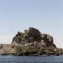 阿斯旺旅游 缩略图 5