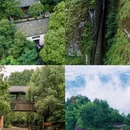 湖州旅游 缩略图 4