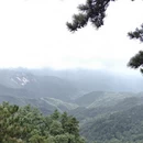 南阳旅游 缩略图 4
