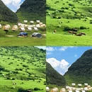毕节旅游 缩略图 2