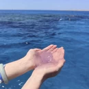 赫尔格达旅游 缩略图 1