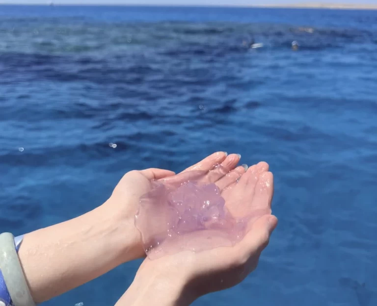 赫尔格达旅游 1