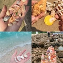 日照旅游 缩略图 5