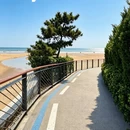 青岛旅游 缩略图 11