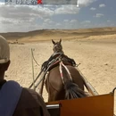 开罗旅游 缩略图 7